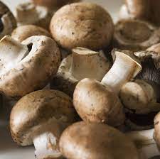 Champignons BIO