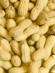 Cacahuètes en coque BIO