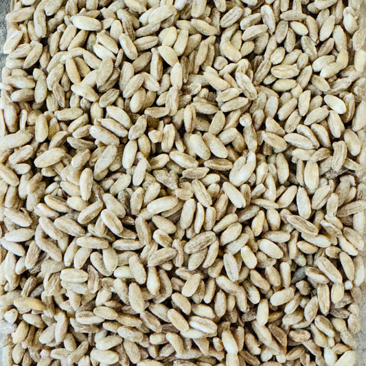 Kernotto IPS (épeautre)
