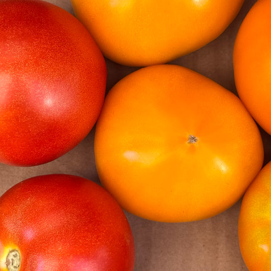 Tomates BIO