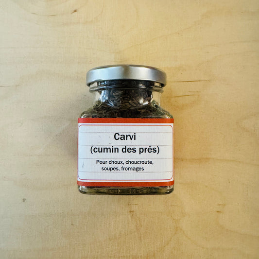 Carvi (cumin des prés)