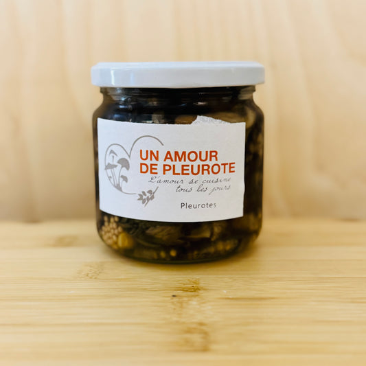 Pleurotes BIO