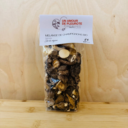 Mélange de champignons séchés BIO