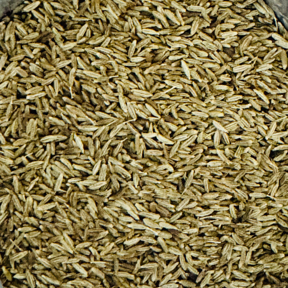 Cumin oriental (kamoun) grains