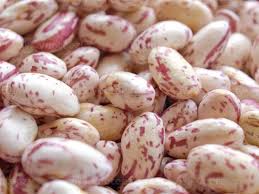Haricots borlotti BIO