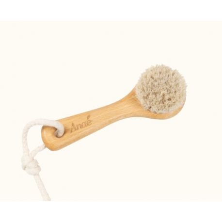 Brosse visage
