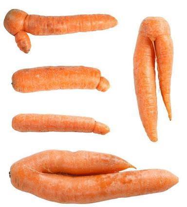 Carottes 2ème choix BIO (caisse de 15 kilos)