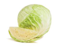 Chou blanc BIO