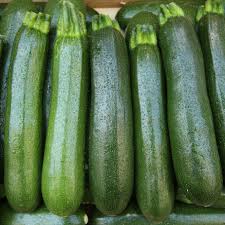 Courgette BIO