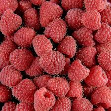 Framboises BIO