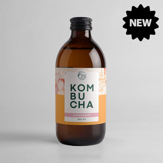 Kombucha gingembre