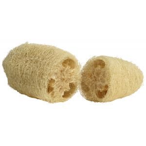 Eponge loofah