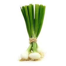 Oignon botte printemps BIO