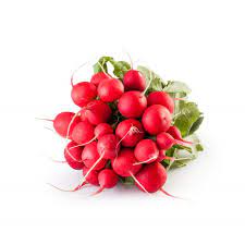 Radis rouge botte BIO
