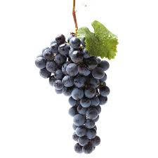 Raisin Muscat (Neuchâte)