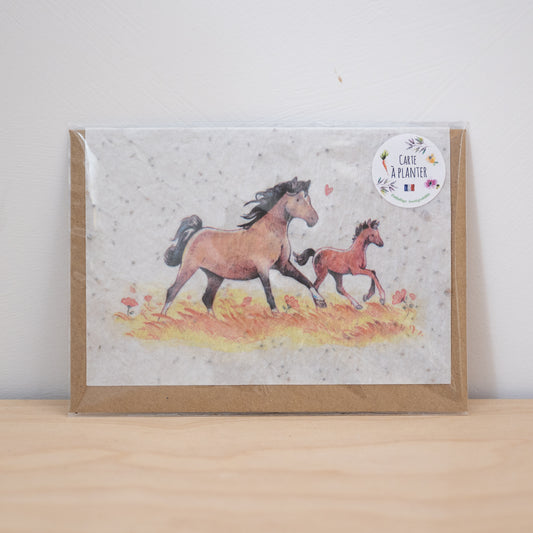 Cheval