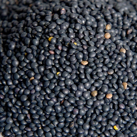 Lentilles noires beluga