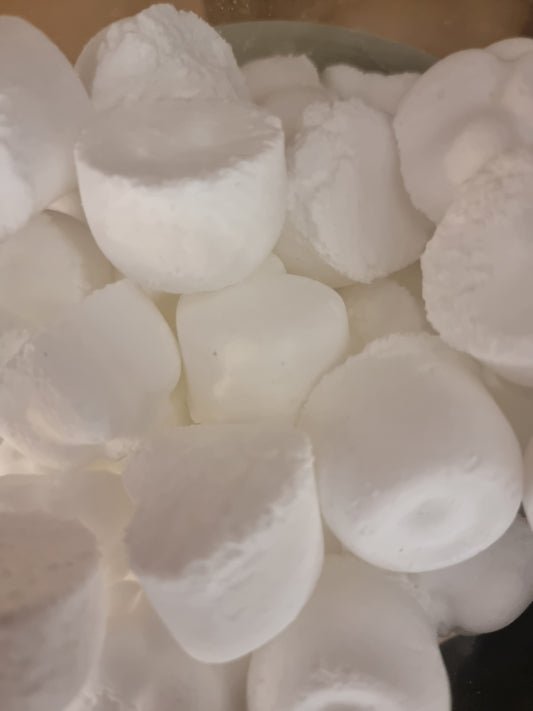 Pastille nettoyante pour les sols