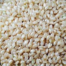 Riz complet BIO