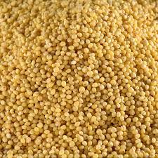 Millet