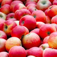 Pommes GALA BIO